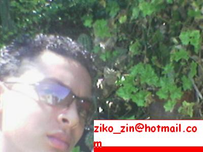 ziko_zin   (moi)